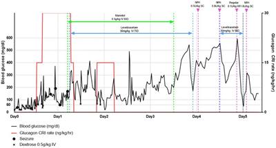 Case report: Fatal insulin overdose in a dog with type 1 diabetes mellitus—characteristics and successful management